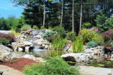 Complete landscape and pond design