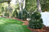 Complete lawn and tree maintenance